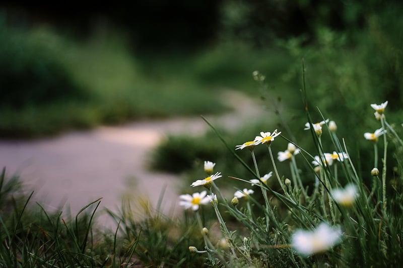Secret Garden Trails