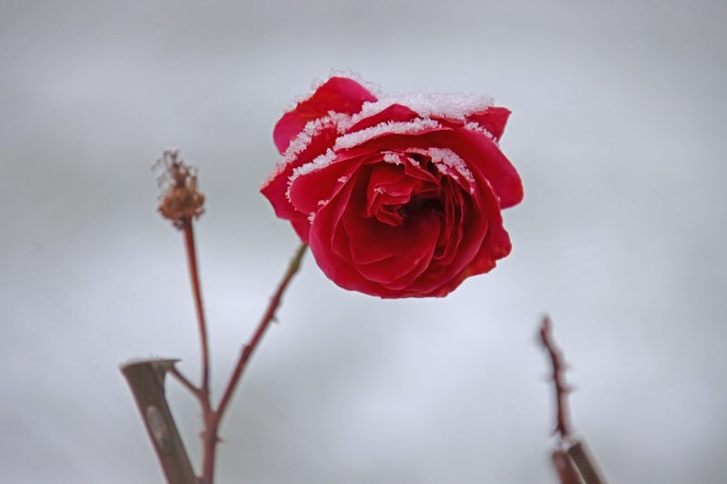 Secret Garden Trail Image