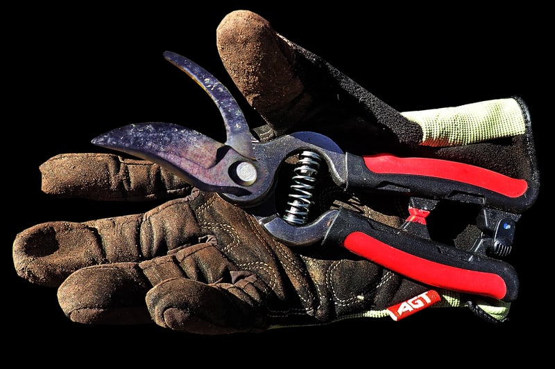 Garden Maintenance